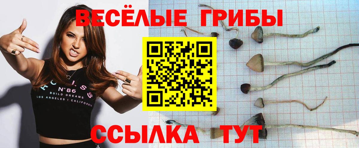 Элиста  Галлюциногенные грибы ЛСД  Вход с VPN 